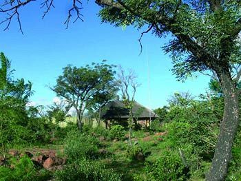 Abloom Bush Lodge & Spa Retreat Cullinan Luaran gambar