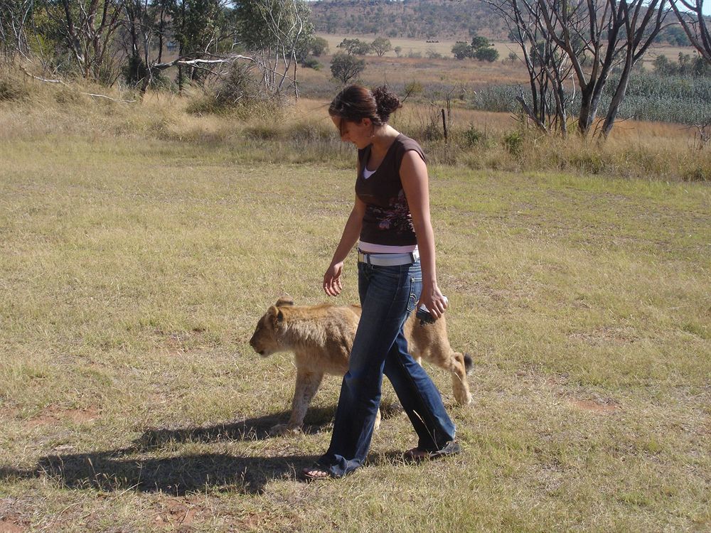 Abloom Bush Lodge & Spa Retreat Cullinan Luaran gambar